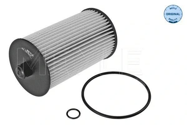 Fuel Filter (100 323 0028)