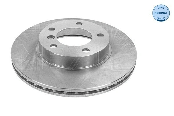 Brake Disc (315 521 3011)