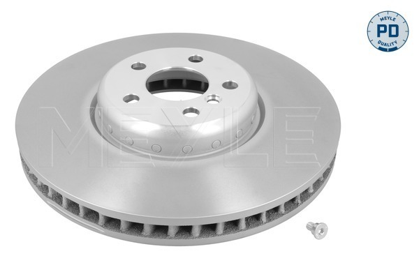 Brake Disc (383 521 1009/PD)