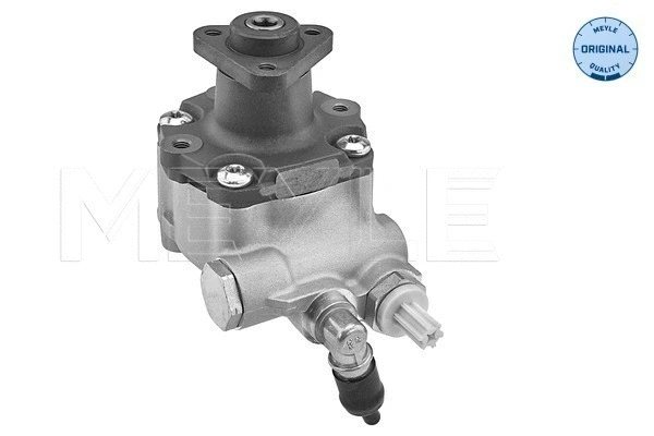 Hydraulic Pump, steering (314 631 0027)