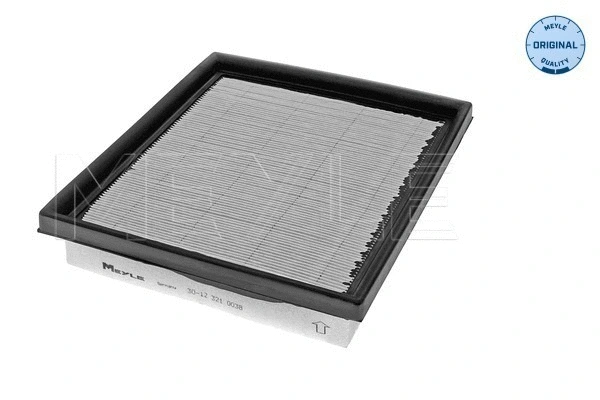 Air Filter (30-12 321 0038)