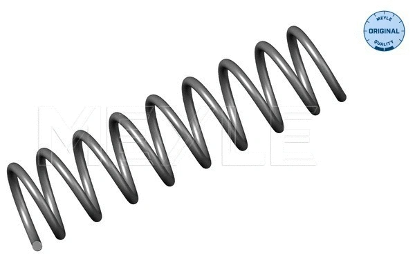 Suspension Spring (314 739 0003)