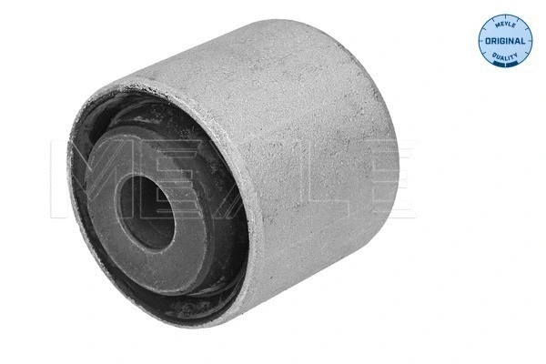 Mounting, axle strut