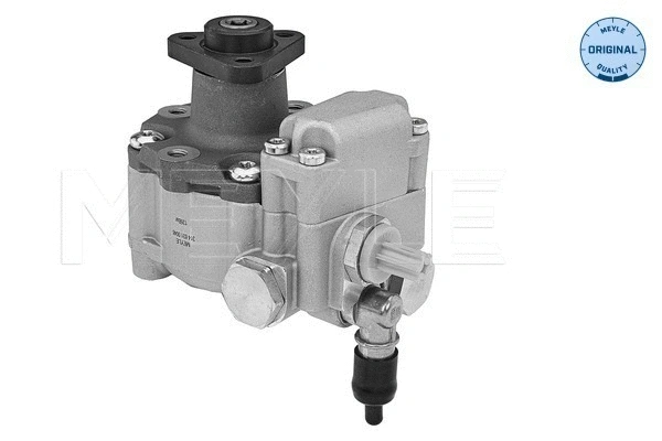 Hydraulic Pump, steering (314 631 0046)