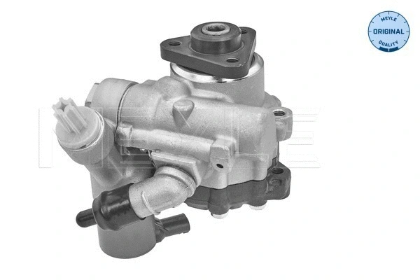 Hydraulic Pump, steering (314 631 0022)