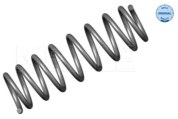 Suspension Spring (100 739 0020)