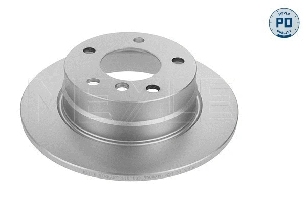 Brake Disc (315 523 0048/PD)