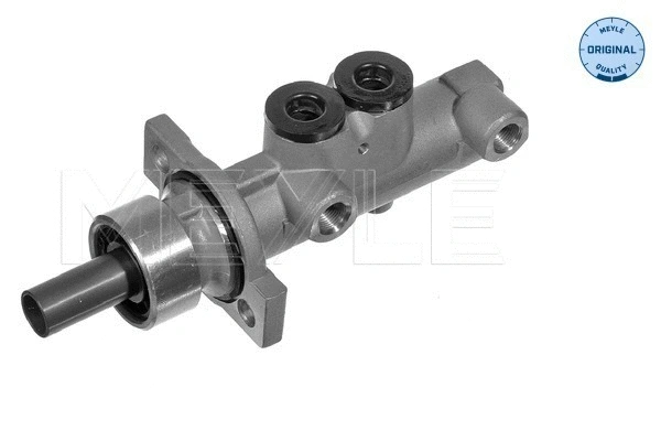Brake Master Cylinder (100 611 0075)