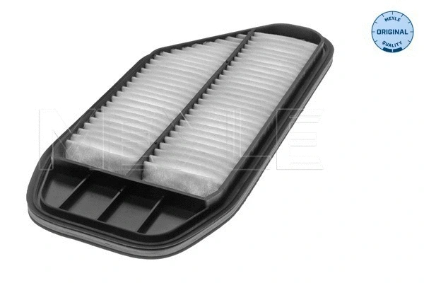 Air Filter (29-12 321 0006)