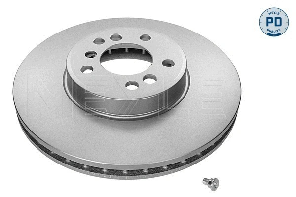 Brake Disc (383 521 0019/PD)
