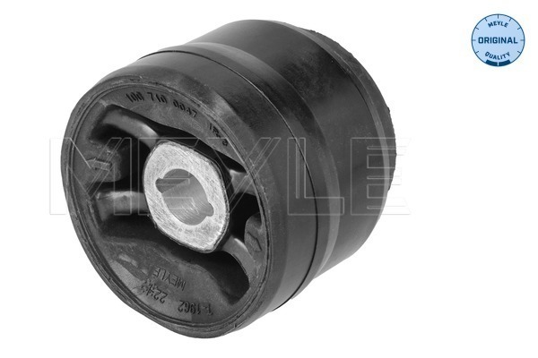 Bushing, axle beam (100 710 0047)