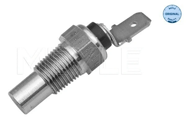 Sensor, coolant temperature (32-14 821 0001)