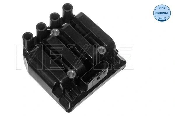 Ignition Coil (100 885 0000)