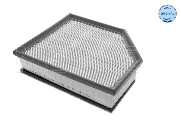 Air Filter (512 321 0003)
