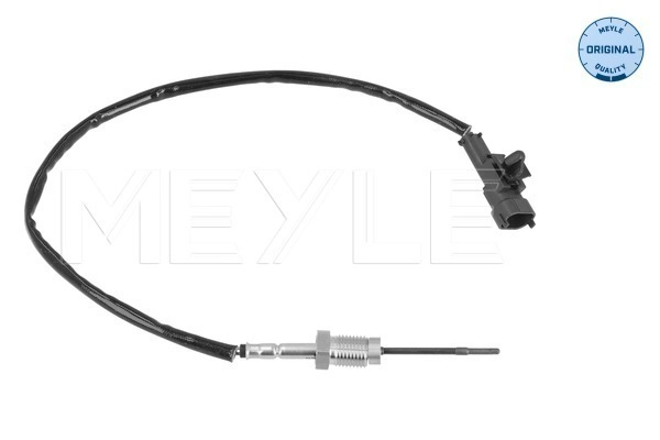 Sensor, exhaust gas temperature (214 800 0077)