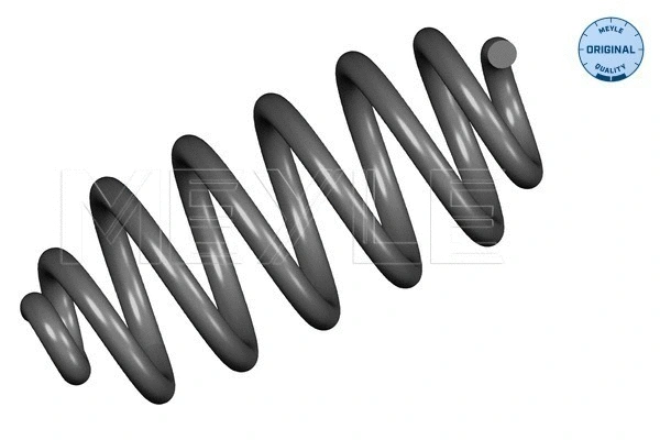 Suspension Spring (100 739 0051)