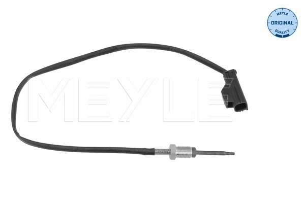 Sensor, exhaust gas temperature (714 800 0033)