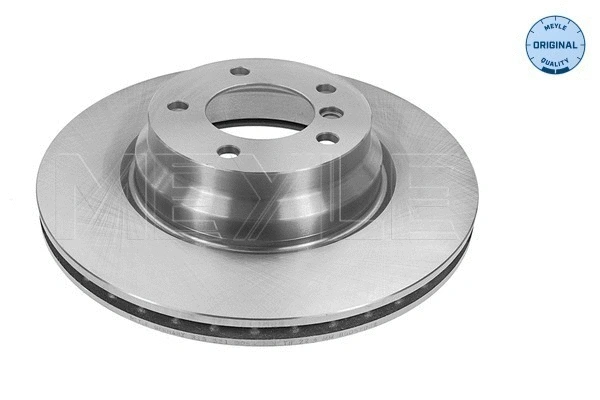 Brake Disc (315 521 3064)