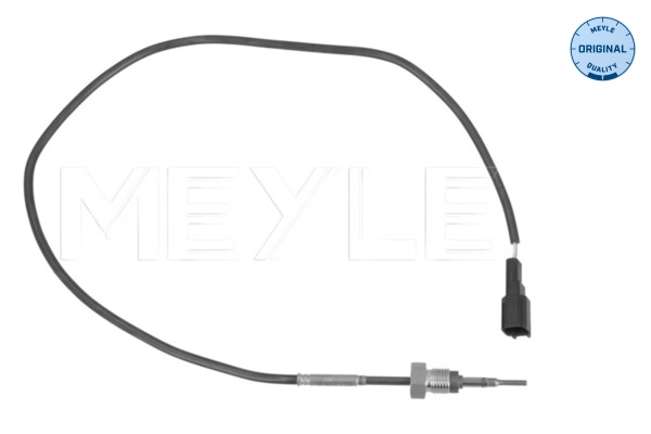Sensor, exhaust gas temperature (714 800 0044)