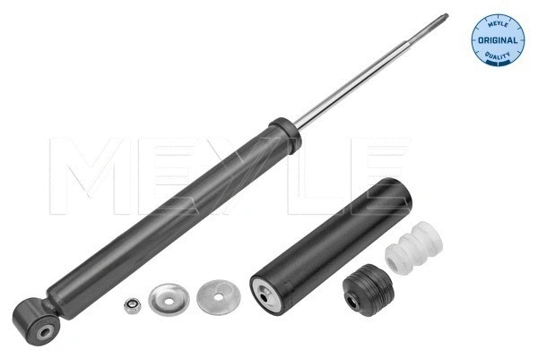 Shock Absorber (31-26 725 0009)