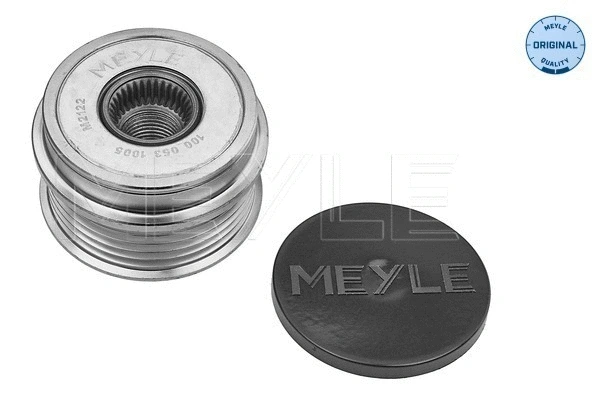 Alternator Freewheel Clutch (100 053 1005)