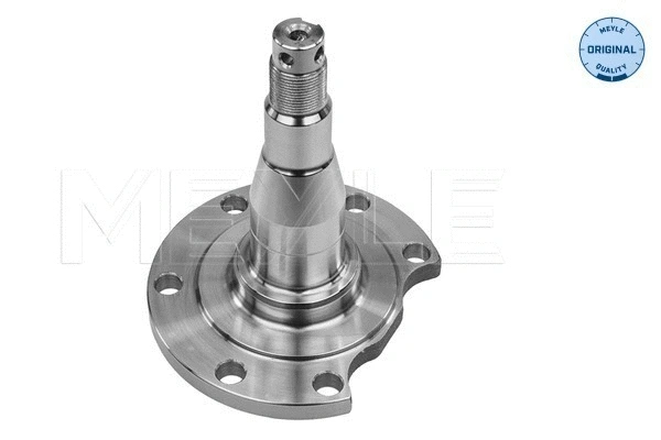 Steering Knuckle, wheel suspension (100 501 0031)