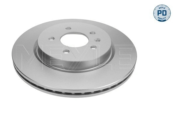 Brake Disc (615 523 0020/PD)