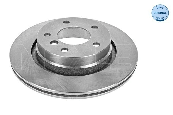 Brake Disc (315 523 0059)