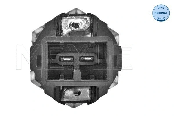 Knock Sensor