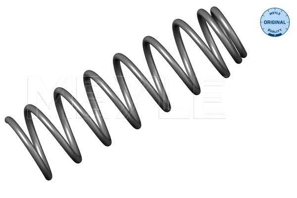 Suspension Spring (100 051 0002)