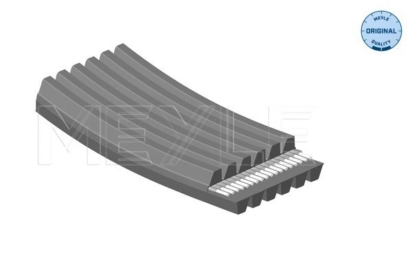 V-Ribbed Belt (050 006 1825/D)