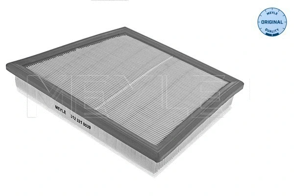 Air Filter (312 321 0039)