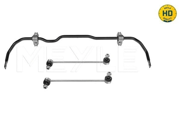 Stabiliser Bar, suspension (100 653 0007/HD)