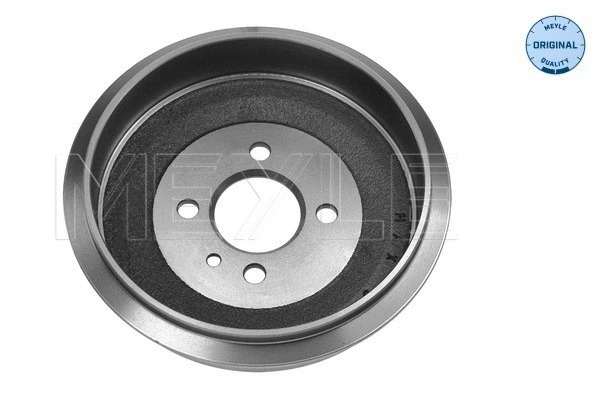 Brake Drum (315 523 3056)
