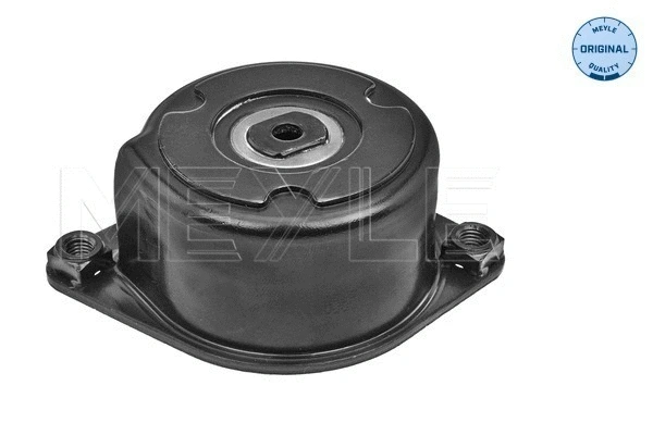 Belt Tensioner, V-ribbed belt (300 903 1110)