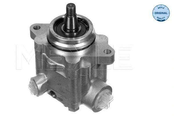 Hydraulic Pump, steering (834 631 0001)