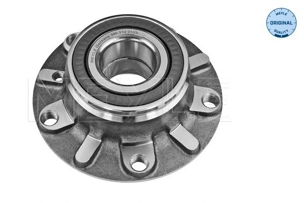 Wheel Hub (300 312 2103)