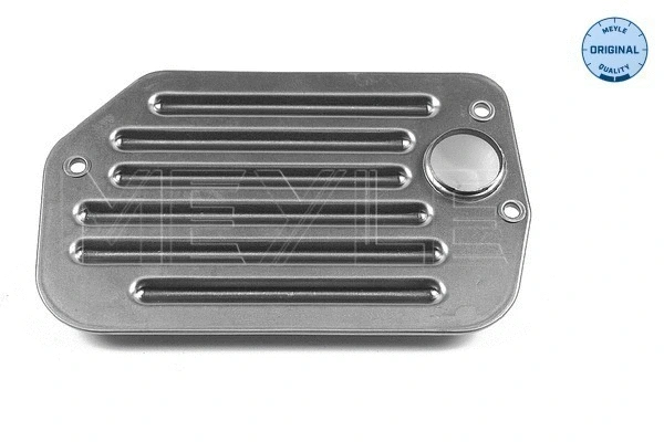 Hydraulic Filter, automatic transmission (100 325 0008)