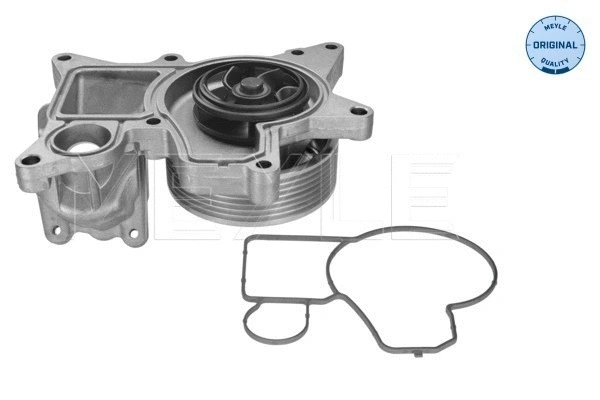 Water Pump, engine cooling (313 220 0018)
