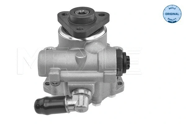 Hydraulic Pump, steering (214 631 0005)