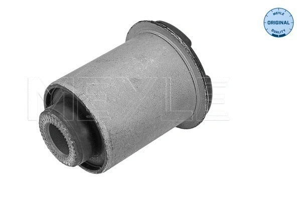 Mounting, control/trailing arm