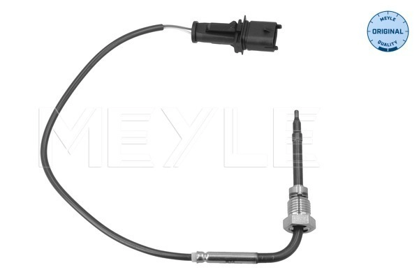 Sensor, exhaust gas temperature (214 800 0064)