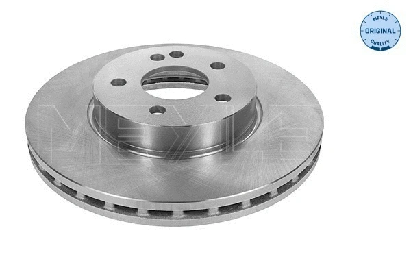 Brake Disc (015 521 2059)