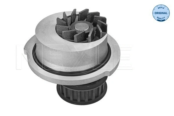 Water Pump, engine cooling (613 600 4098)