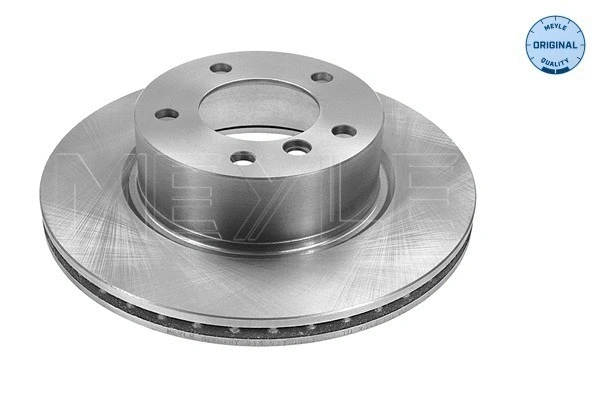 Brake Disc (315 521 3063)
