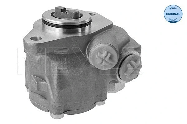 Hydraulic Pump, steering (034 631 0008)