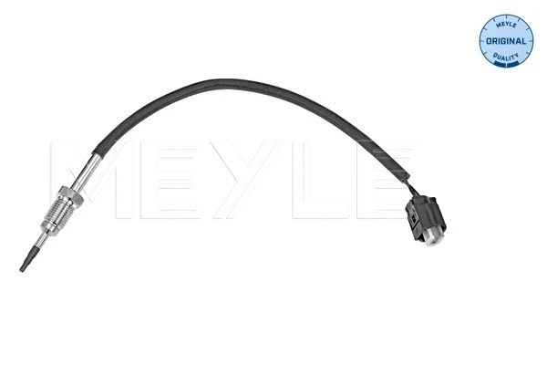 Sensor, exhaust gas temperature (314 800 0069)