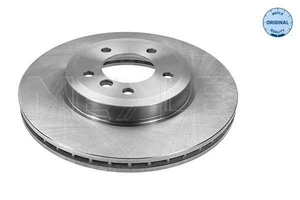 Brake Disc (315 521 3029)