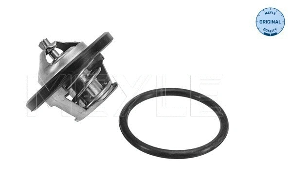Thermostat, coolant (628 287 0008)
