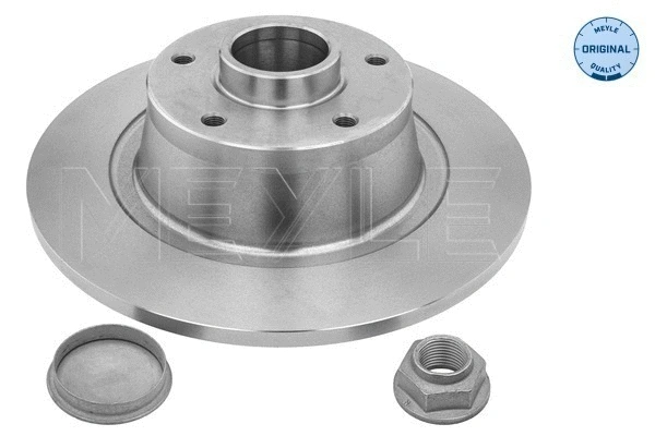 Brake Disc (16-15 523 4106)
